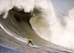 看球通-德甲俱乐部属欧洲哪一等级？联赛水准与竞争力分析