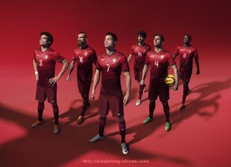 看球通-法甲球队过往成绩盘点与长期发展趋势研究