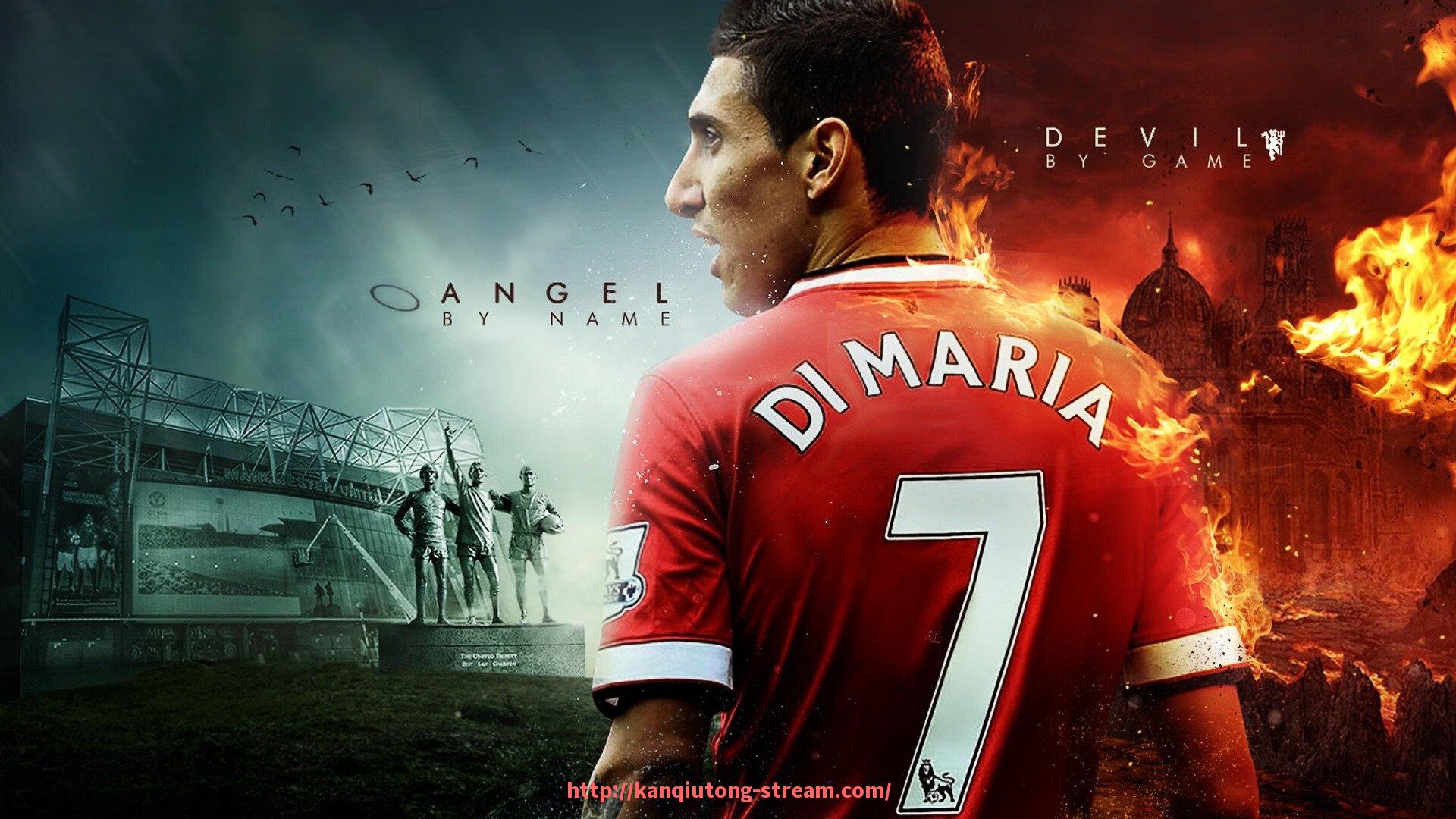 看球通-澳洲健身器材品牌大全及体育产品特色介绍